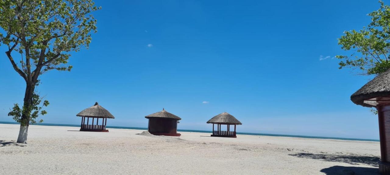 Moonlight Apartament 3 Camere Lux 803 Mamaia Exteriör bild